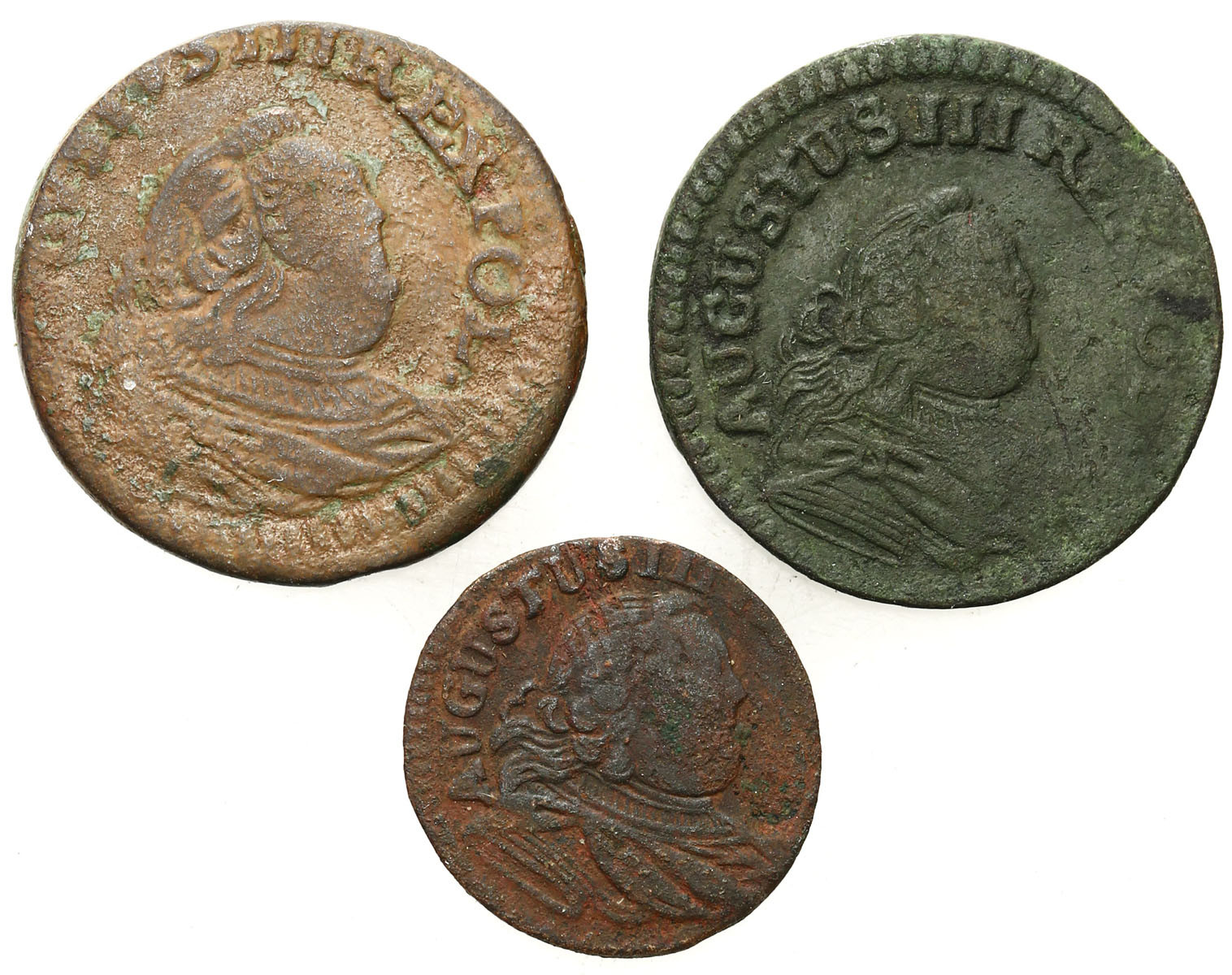 August III Sas. Szeląg 1754, grosz 1755 x 2, Gubin, zestaw 3 monet